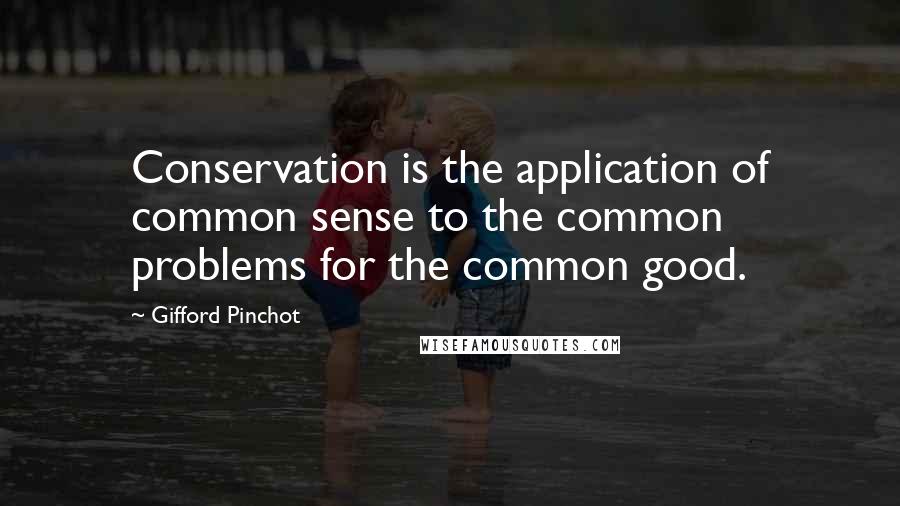 Gifford Pinchot quotes: Conservation is the application of common sense to the common problems for the common good.