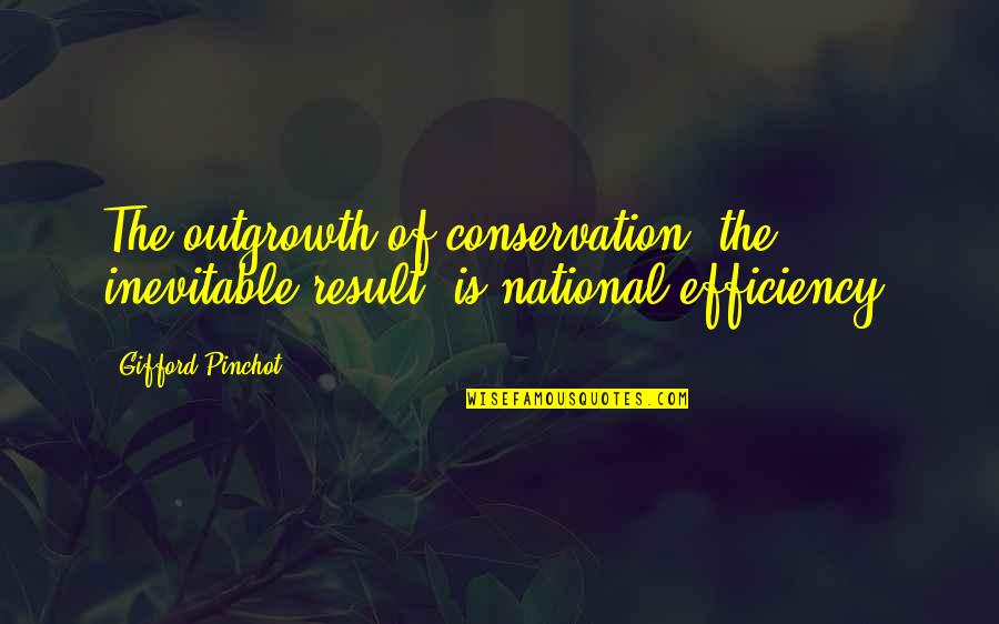 Gifford Quotes By Gifford Pinchot: The outgrowth of conservation, the inevitable result, is