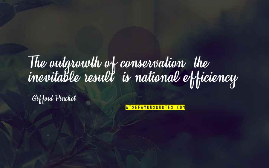 Gifford's Quotes By Gifford Pinchot: The outgrowth of conservation, the inevitable result, is