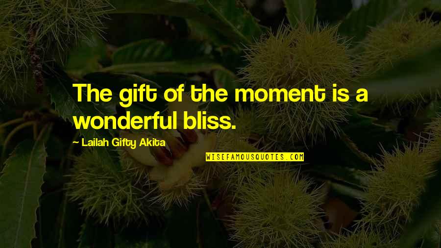 Gift Of Time Quotes By Lailah Gifty Akita: The gift of the moment is a wonderful