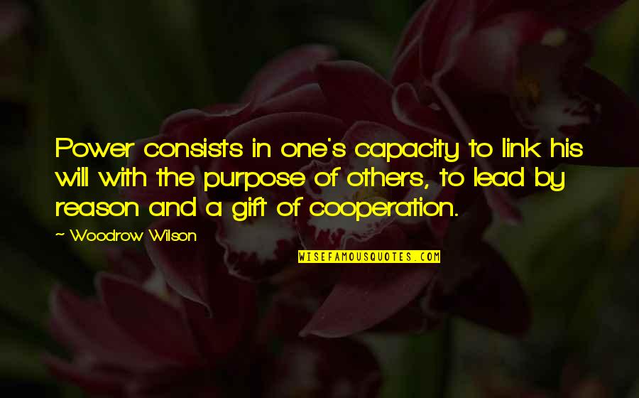 Gift Without Reason Quotes By Woodrow Wilson: Power consists in one's capacity to link his