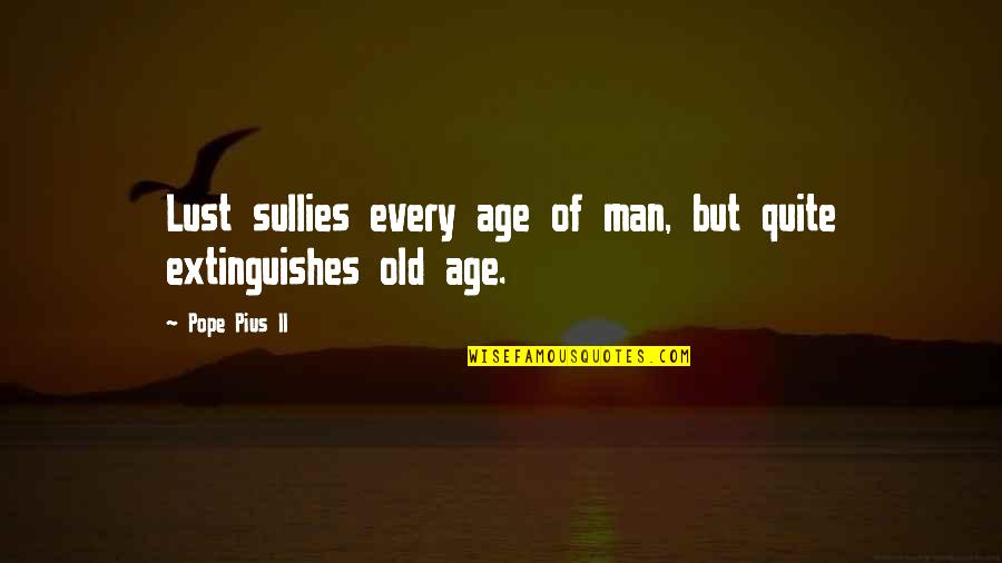 Gifted And Talented Inspirational Quotes By Pope Pius II: Lust sullies every age of man, but quite