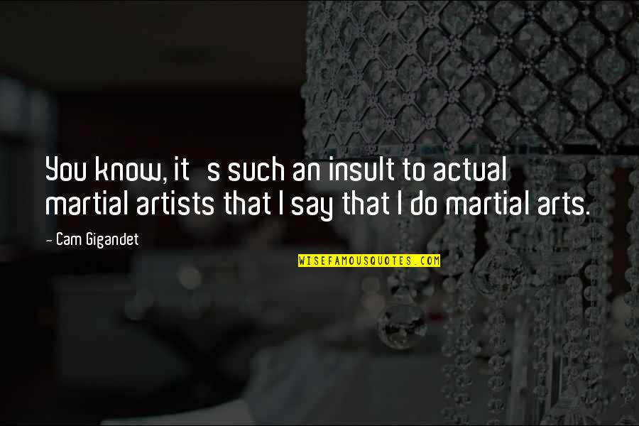 Giftiers Quotes By Cam Gigandet: You know, it's such an insult to actual