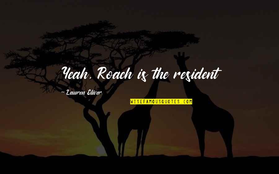 Gifting Quote Quotes By Lauren Oliver: Yeah, Roach is the resident