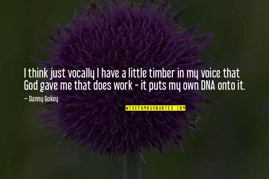 Gigabits Quotes By Danny Gokey: I think just vocally I have a little Gigabits Quotes By Danny Gokey: I think just vocally I have a little