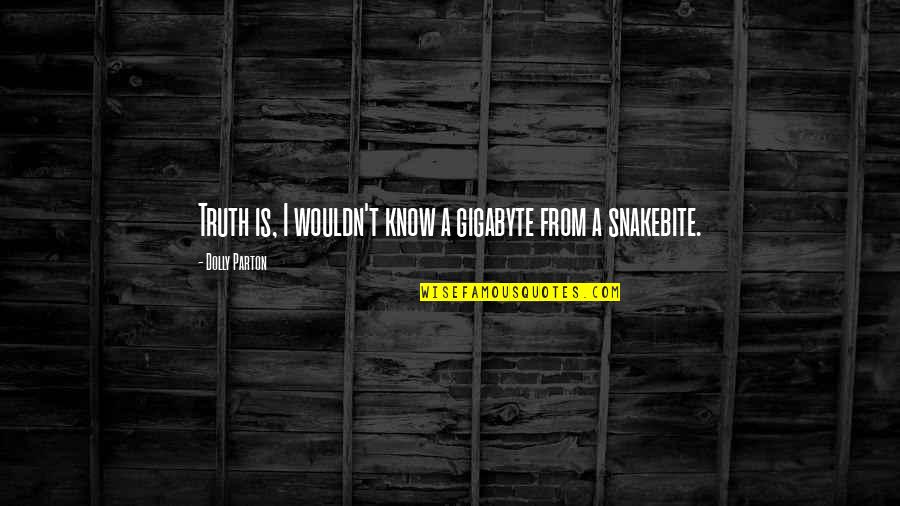 Gigabyte Quotes By Dolly Parton: Truth is, I wouldn't know a gigabyte from Gigabyte Quotes By Dolly Parton: Truth is, I wouldn't know a gigabyte from