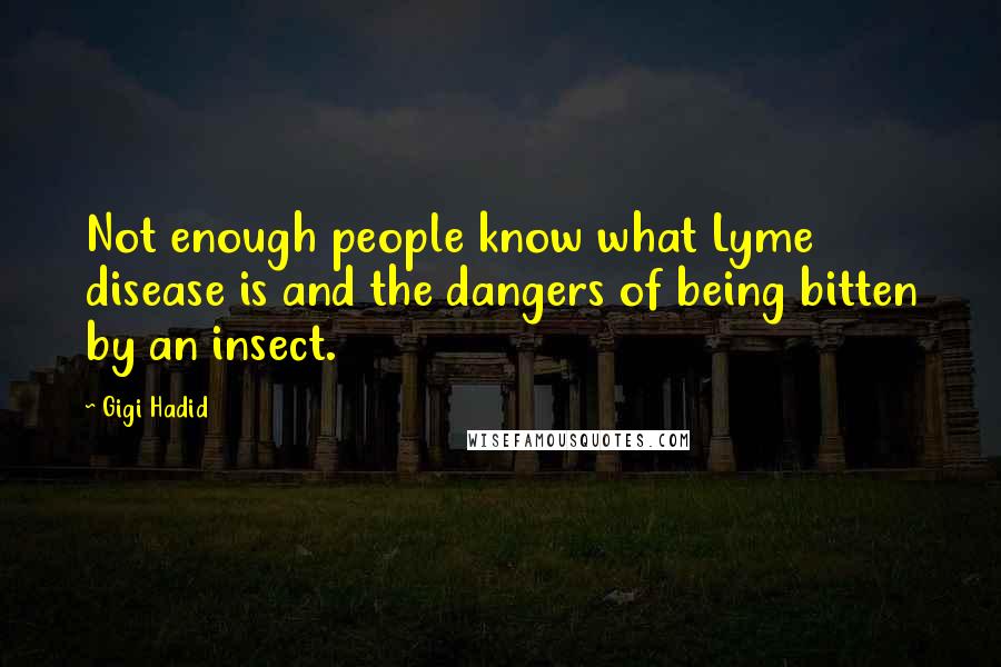 Gigi Hadid quotes: Not enough people know what Lyme disease is and the dangers of being bitten by an insect.