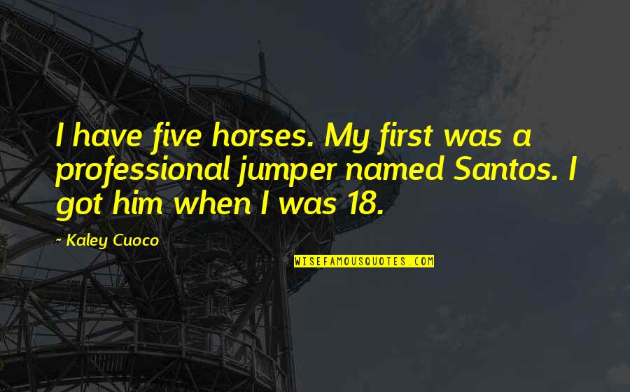Gilbert Adair Quotes By Kaley Cuoco: I have five horses. My first was a