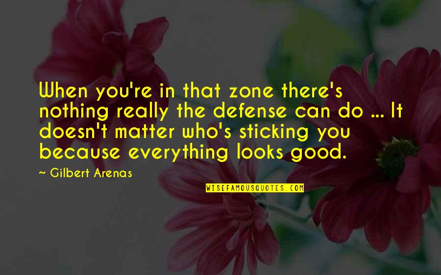 Gilbert Arenas Quotes By Gilbert Arenas: When you're in that zone there's nothing really