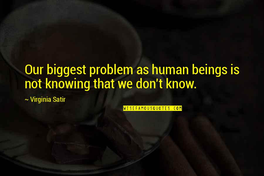 Gilbert De Botton Quotes By Virginia Satir: Our biggest problem as human beings is not