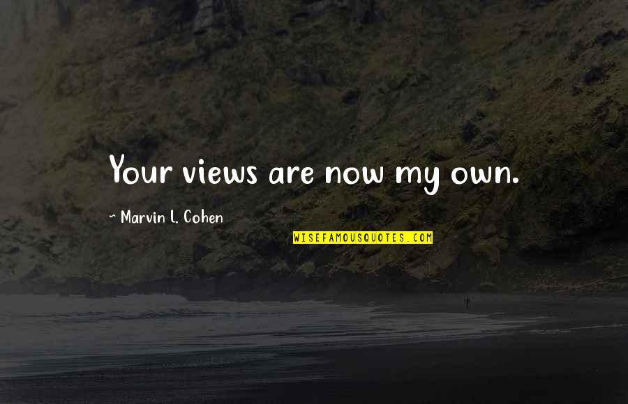 Gilbert Highet Quotes By Marvin L. Cohen: Your views are now my own.