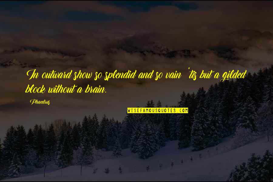 Gilded Quotes By Phaedrus: In outward show so splendid and so vain;