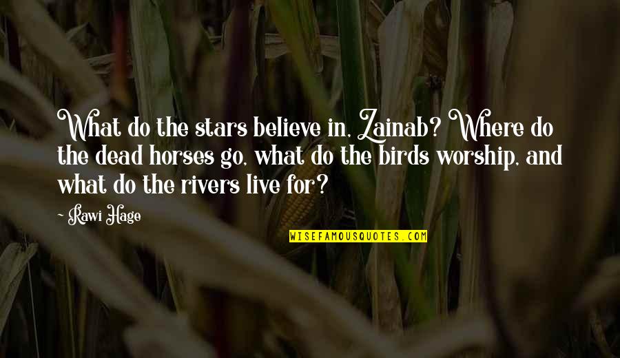 Gilded Wings Quotes By Rawi Hage: What do the stars believe in, Zainab? Where