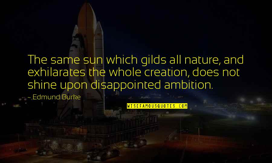 Gilds Quotes By Edmund Burke: The same sun which gilds all nature, and