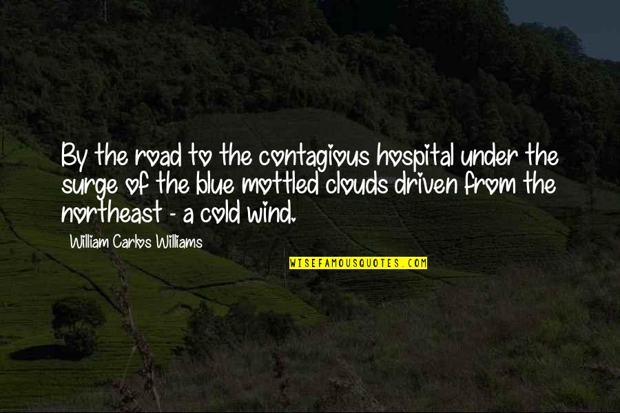 Gilfert John Quotes By William Carlos Williams: By the road to the contagious hospital under