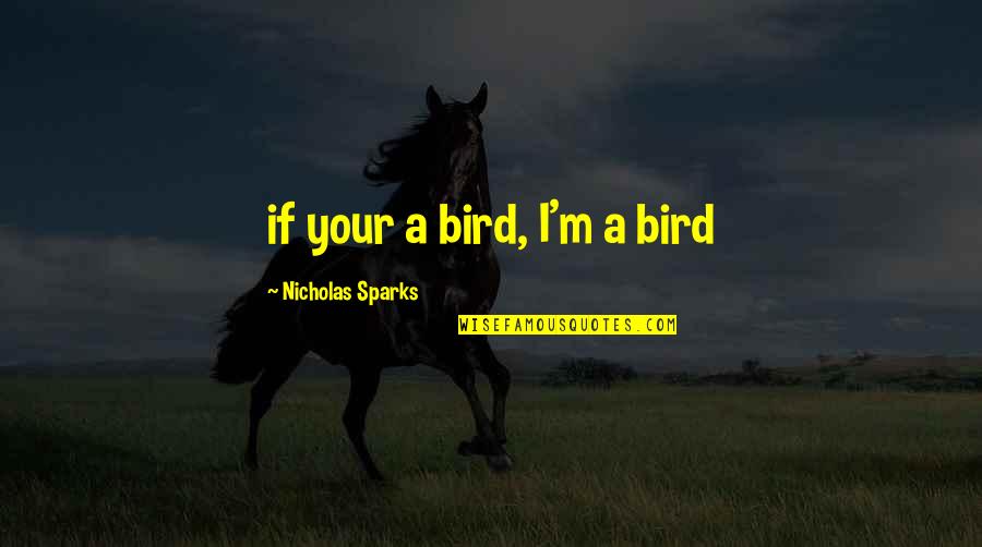 Gilhooly Frog Quotes By Nicholas Sparks: if your a bird, I'm a bird