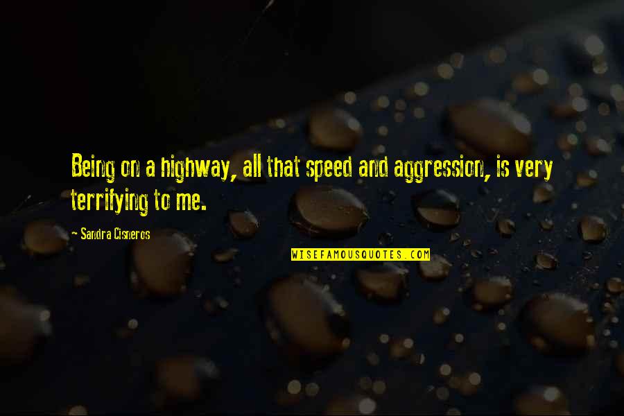 Gilioli Sport Quotes By Sandra Cisneros: Being on a highway, all that speed and
