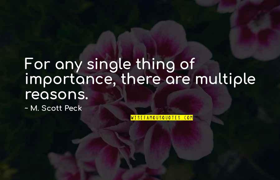 Gill Grunt Quotes By M. Scott Peck: For any single thing of importance, there are