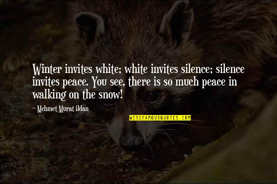 Gillane Tool Quotes By Mehmet Murat Ildan: Winter invites white; white invites silence; silence invites