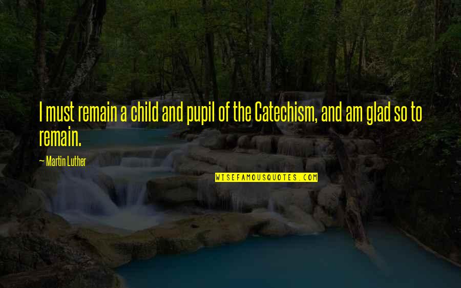 Gilled Mushroom Quotes By Martin Luther: I must remain a child and pupil of