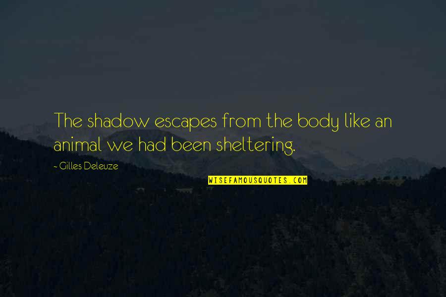 Gilles Deleuze Quotes By Gilles Deleuze: The shadow escapes from the body like an