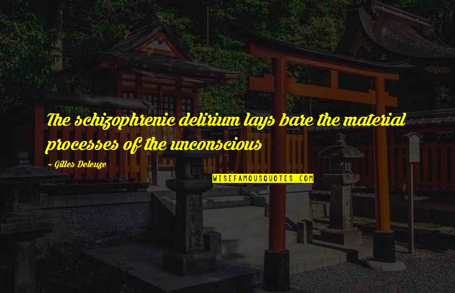 Gilles Deleuze Quotes By Gilles Deleuze: The schizophrenic delirium lays bare the material processes