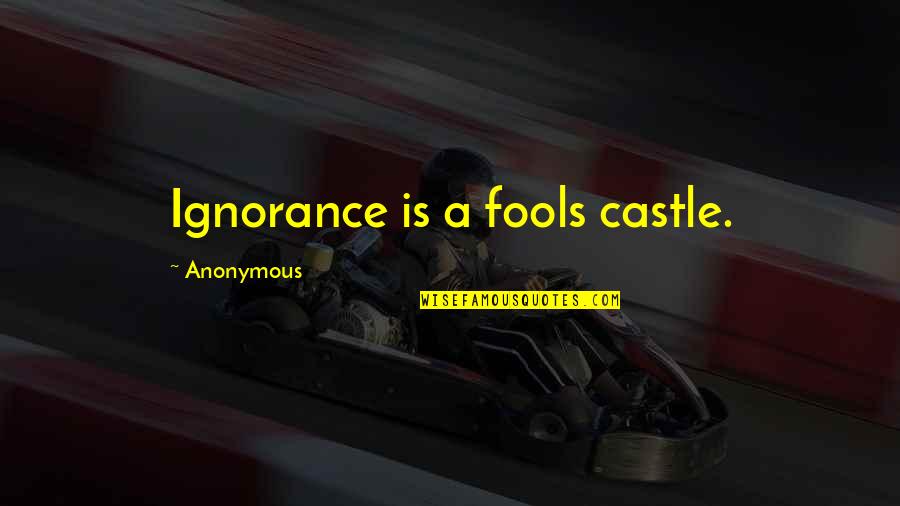 Gillespe Quotes By Anonymous: Ignorance is a fools castle.