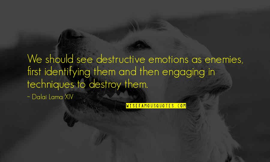 Gillia Quotes By Dalai Lama XIV: We should see destructive emotions as enemies, first