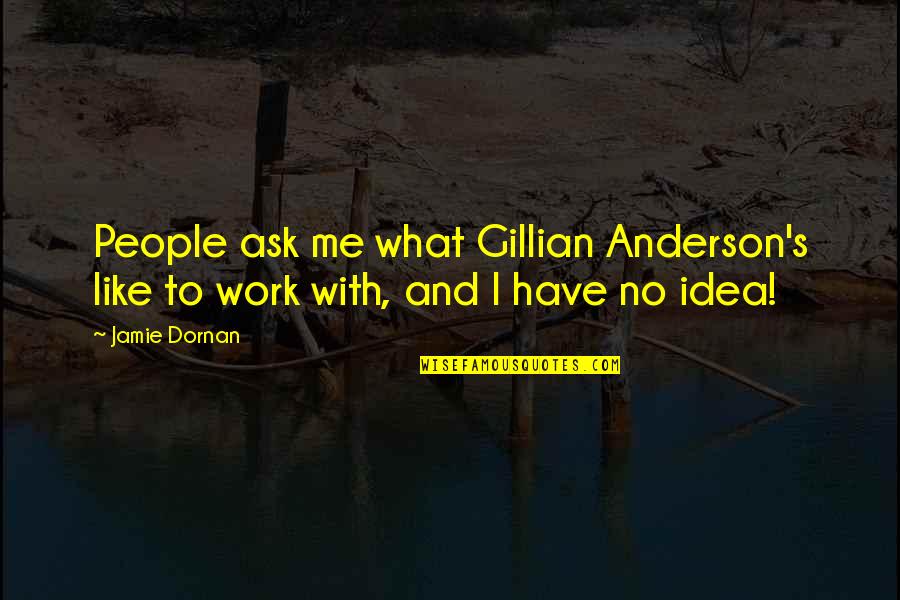 Gillian Anderson Quotes By Jamie Dornan: People ask me what Gillian Anderson's like to