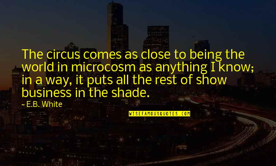 Gillikins Beach Quotes By E.B. White: The circus comes as close to being the Gillikins Beach Quotes By E.B. White: The circus comes as close to being the