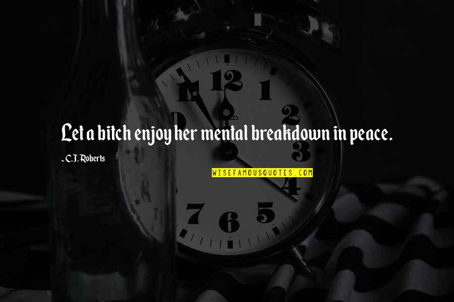 Gilray Tools Quotes By C.J. Roberts: Let a bitch enjoy her mental breakdown in Gilray Tools Quotes By C.J. Roberts: Let a bitch enjoy her mental breakdown in