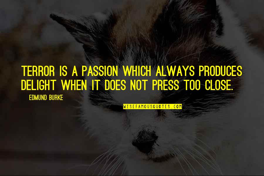 Gilstead Lake Quotes By Edmund Burke: Terror is a passion which always produces delight