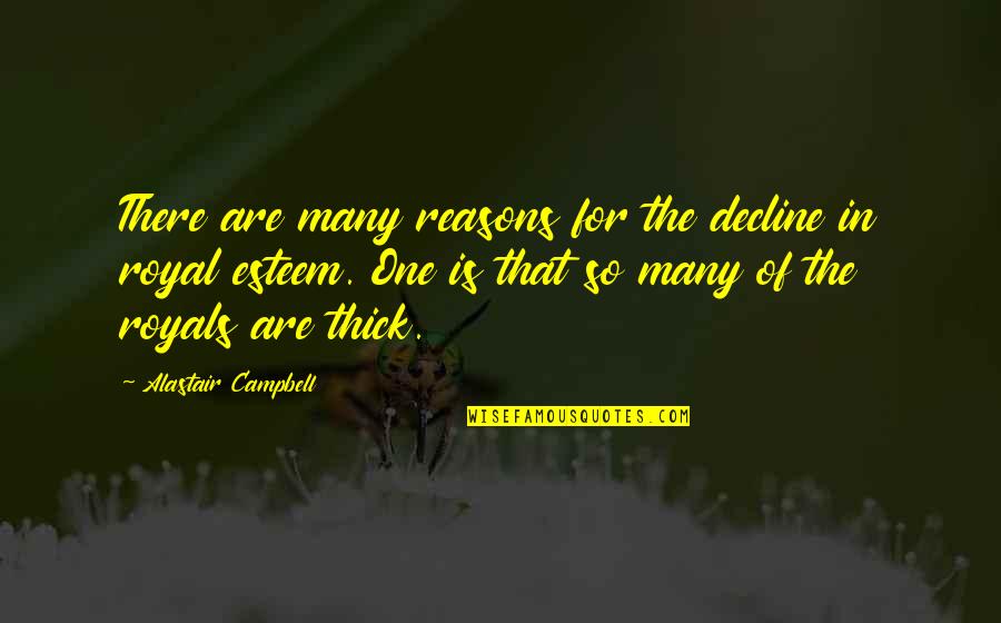 Gimingaw Nako Nimo Quotes By Alastair Campbell: There are many reasons for the decline in Gimingaw Nako Nimo Quotes By Alastair Campbell: There are many reasons for the decline in