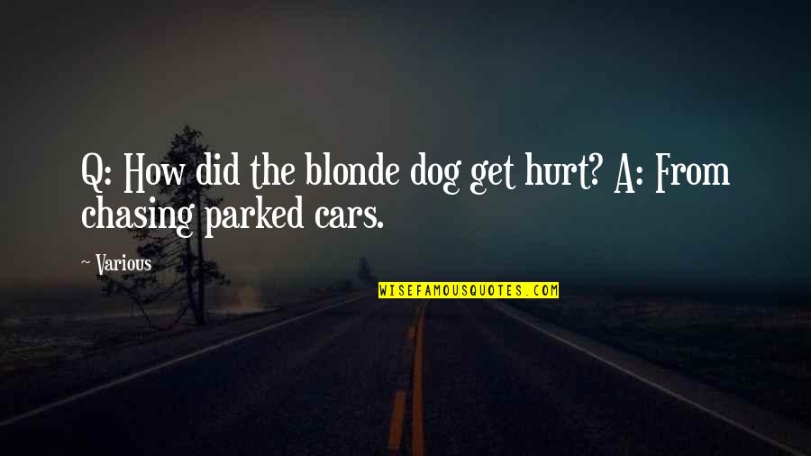 Gimmicks Synonym Quotes By Various: Q: How did the blonde dog get hurt?