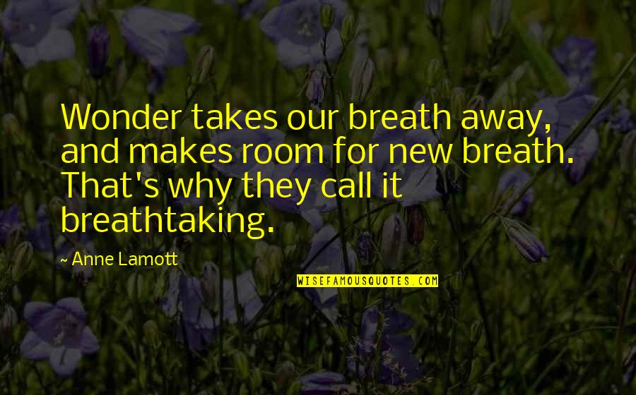 Gina Choi Quotes By Anne Lamott: Wonder takes our breath away, and makes room