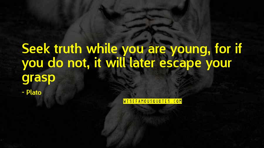 Ginelli Chocolate Quotes By Plato: Seek truth while you are young, for if
