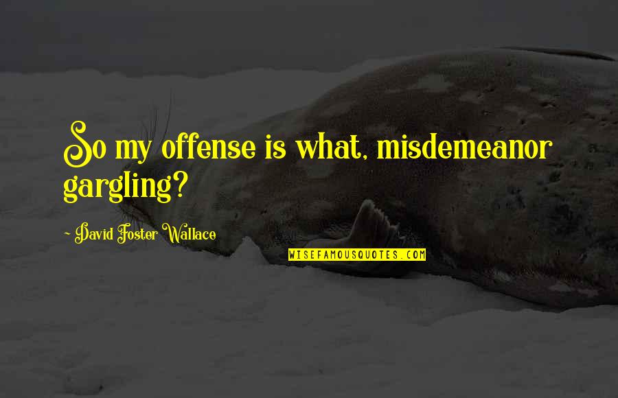 Ginestlay Quotes By David Foster Wallace: So my offense is what, misdemeanor gargling? Ginestlay Quotes By David Foster Wallace: So my offense is what, misdemeanor gargling?
