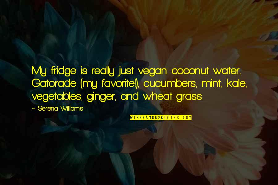 Ginger Mint Quotes By Serena Williams: My fridge is really just vegan: coconut water,