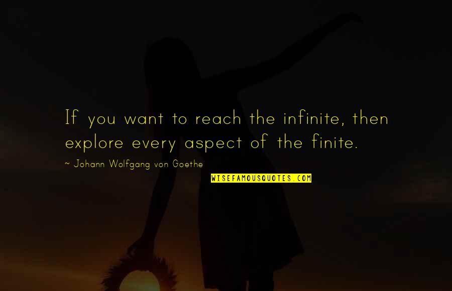 Ginger Snaps Ginger Quotes By Johann Wolfgang Von Goethe: If you want to reach the infinite, then