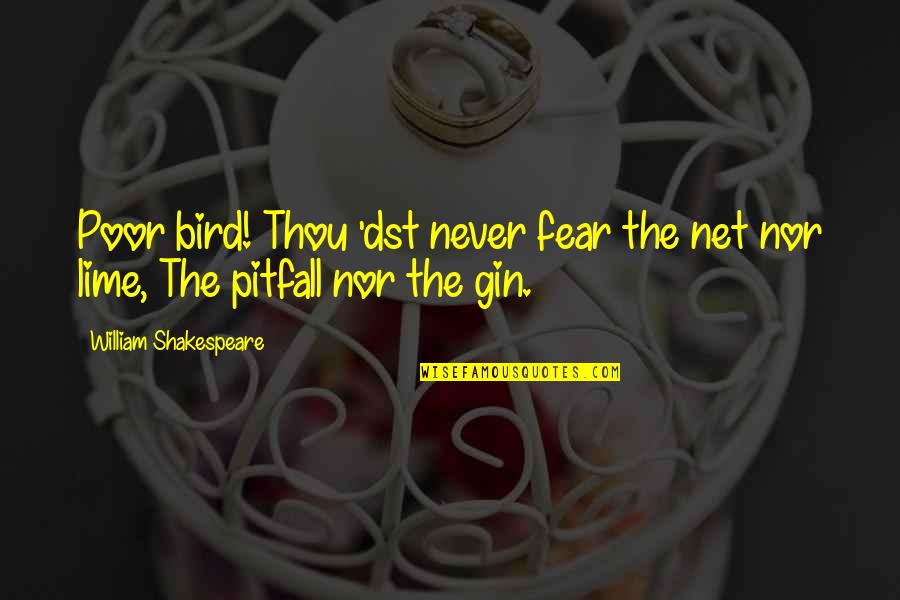 Gin'i Quotes By William Shakespeare: Poor bird! Thou 'dst never fear the net