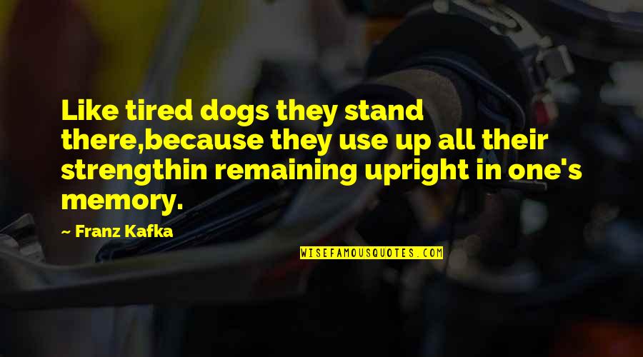 Ginners Mage Quotes By Franz Kafka: Like tired dogs they stand there,because they use Ginners Mage Quotes By Franz Kafka: Like tired dogs they stand there,because they use