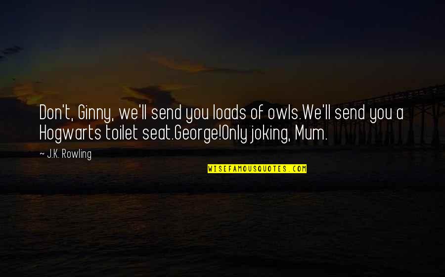 Ginny Harry Quotes By J.K. Rowling: Don't, Ginny, we'll send you loads of owls.We'll