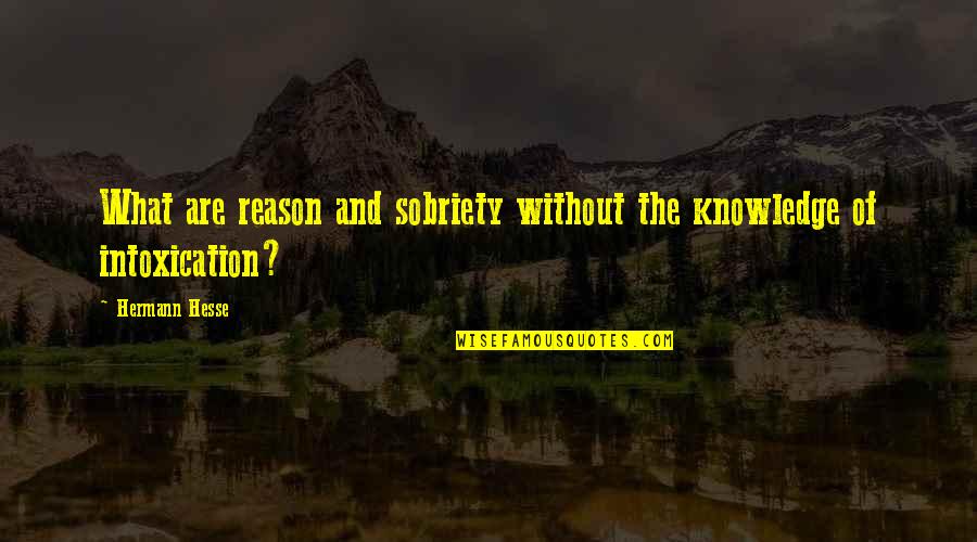 Ginny Miller Quotes By Hermann Hesse: What are reason and sobriety without the knowledge