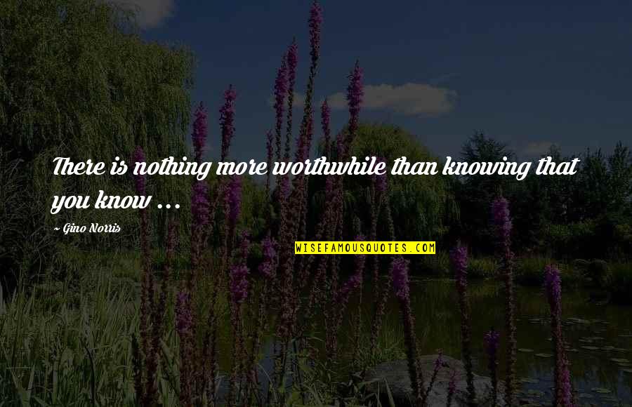 Gino Quotes By Gino Norris: There is nothing more worthwhile than knowing that