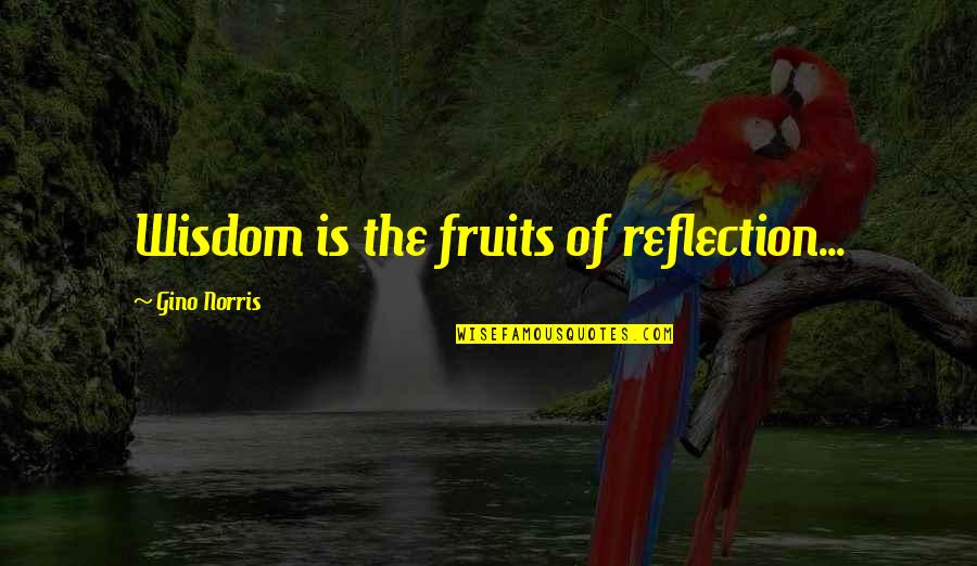Gino Quotes By Gino Norris: Wisdom is the fruits of reflection... Gino Quotes By Gino Norris: Wisdom is the fruits of reflection...