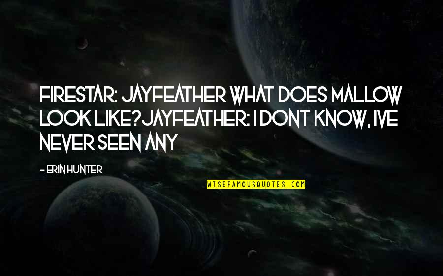 Ginocchia Cavalli Quotes By Erin Hunter: Firestar: jayfeather what does mallow look like?jayfeather: i Ginocchia Cavalli Quotes By Erin Hunter: Firestar: jayfeather what does mallow look like?jayfeather: i