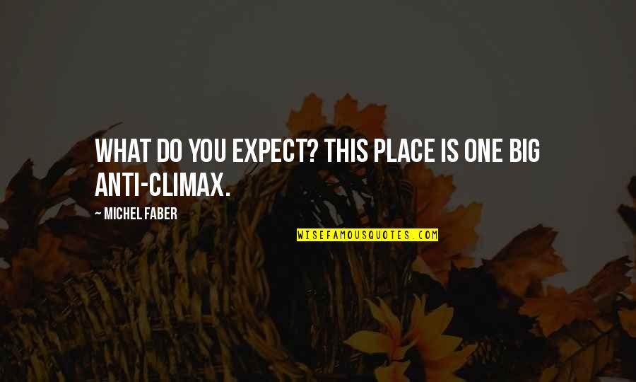 Ginuwine Love Quotes By Michel Faber: What do you expect? This place is one