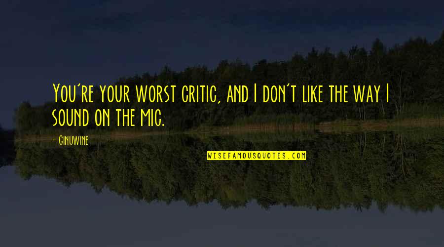 Ginuwine Quotes By Ginuwine: You're your worst critic, and I don't like