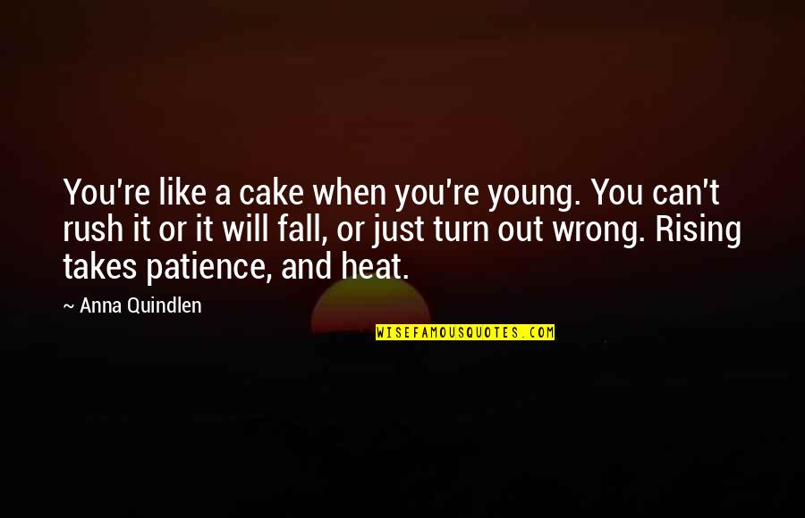 Gionatan Spagnoletti Quotes By Anna Quindlen: You're like a cake when you're young. You Gionatan Spagnoletti Quotes By Anna Quindlen: You're like a cake when you're young. You