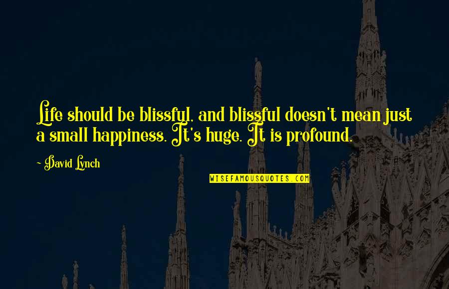 Giovanni Gentile Quotes By David Lynch: Life should be blissful, and blissful doesn't mean Giovanni Gentile Quotes By David Lynch: Life should be blissful, and blissful doesn't mean